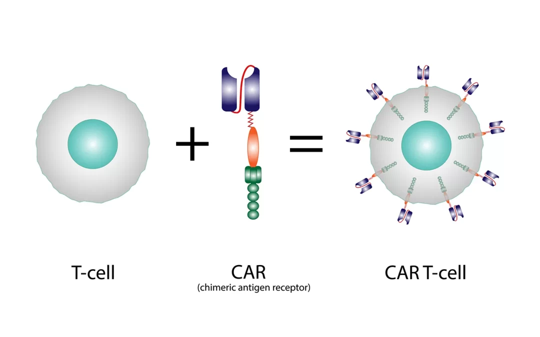 Car T Cell